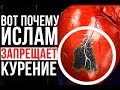 Вот почему ислам запрещает КУРЕНИЕ