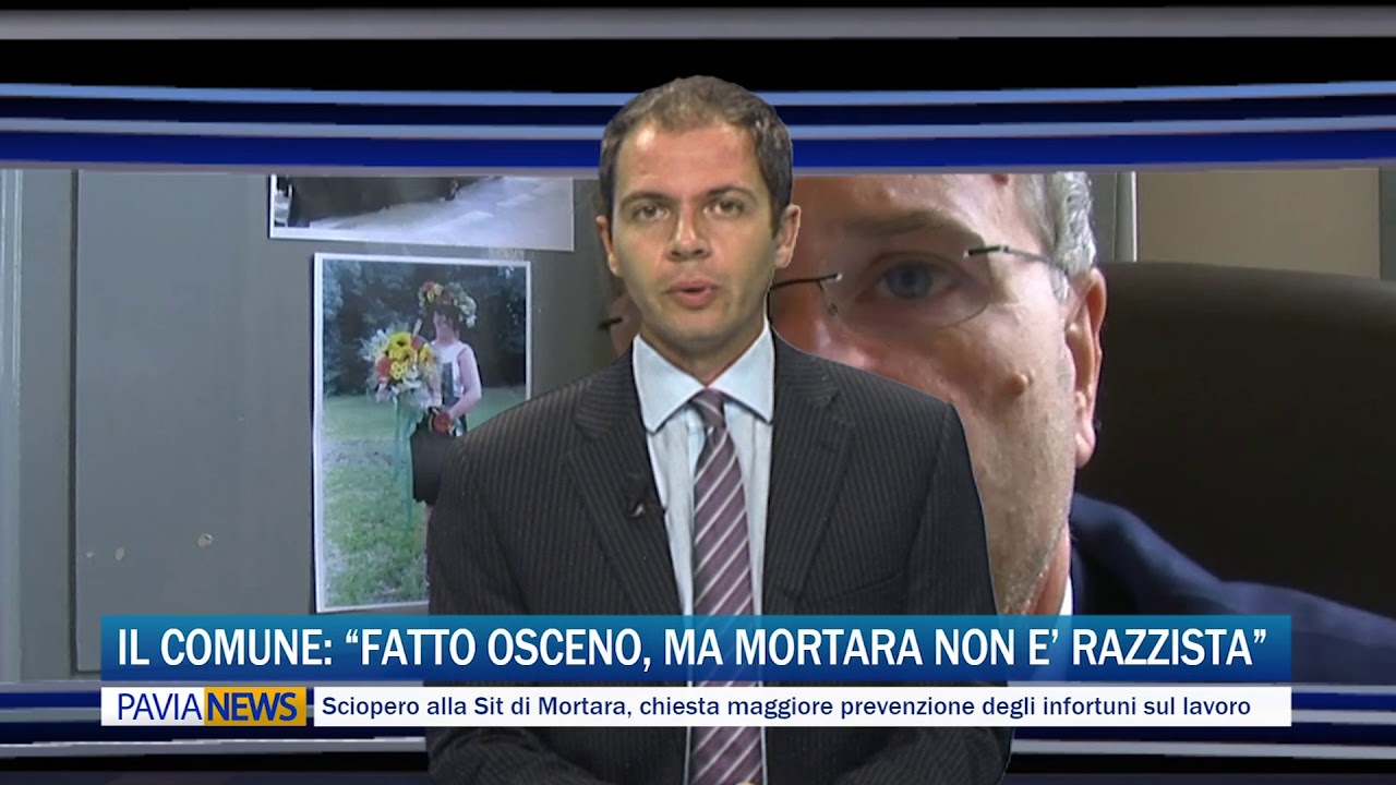 italian greyhound PAVIA NEWS - 7 settembre 2018