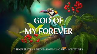 GOD OF MY FOREVER | Worship & Instrumental Music With Scriptures | Christian Harmonies