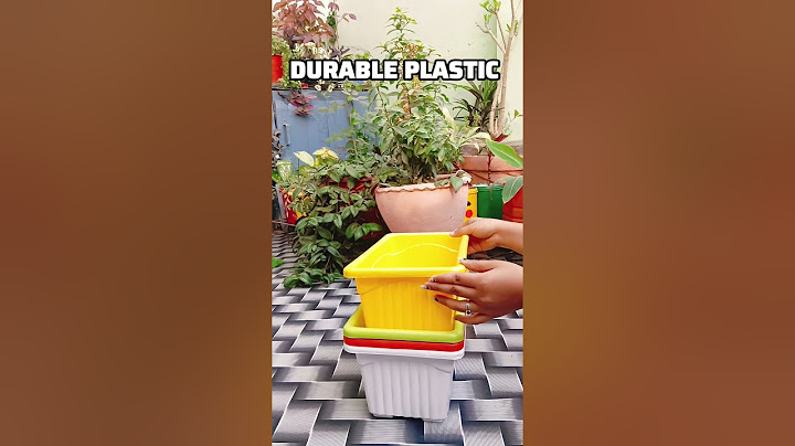 Meesho Veggies & Flower Pot🌷🌹🪴#shorts#vegetables#flowers#garden#review#meesho#unboxing#plants#yt#pot