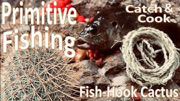 Primitive Survival Fishing Catch & Cook Fish Hook Cactus