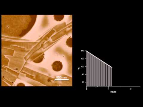 Video: Forskellen Mellem Polystyren Og Polypropylen