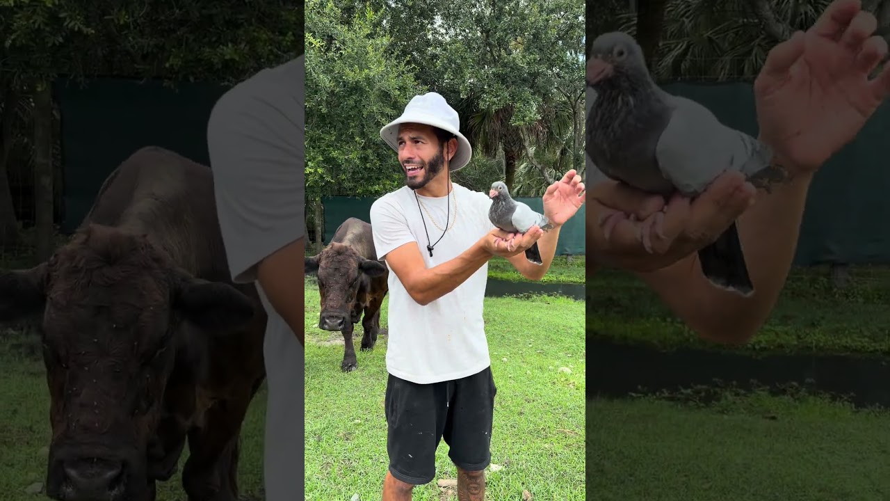 Which is your favorite baby animal on my ranch?! #animals #babyanimals #farm