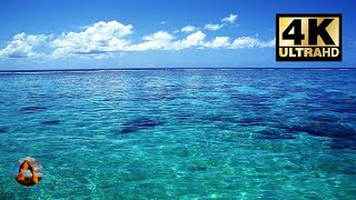 Relaxing Rippling Ocean Sounds | 4K 🌊