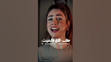 رمش خطاف اكسبلور 