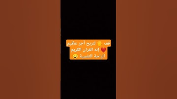 قف 🖐️ لتربح أجر عظيم ❤️ إنه القران الكريم الراحة النفسية ☺️ #الله