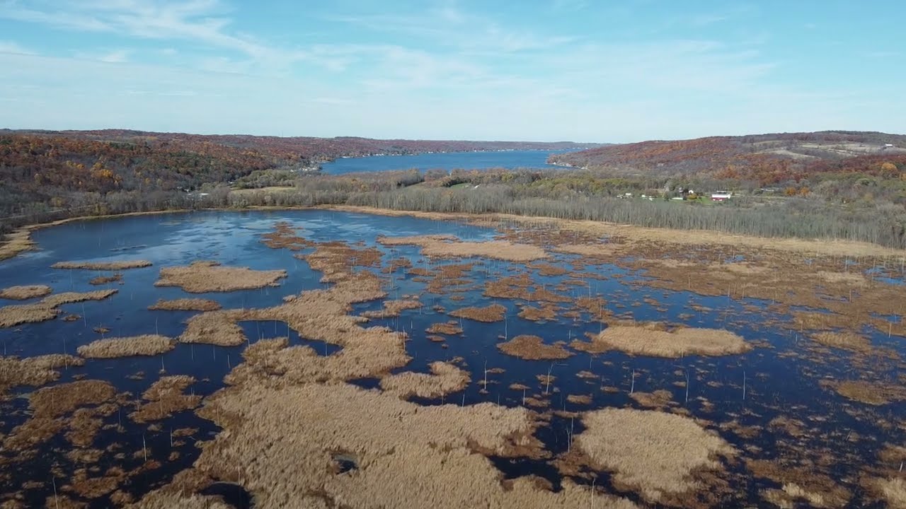 Conesus Lake Inlet