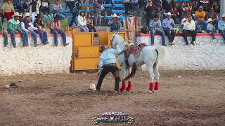 Jaripeo En NEUTLA Guanajuato  Grandes Jugadas de Emoción