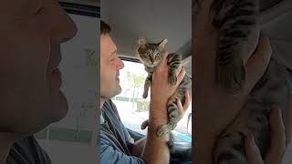 Малыш Барс! Подобрал котенка на трассе 😱 Полное видео смотрите на моём основном канале @OlegNovikov1