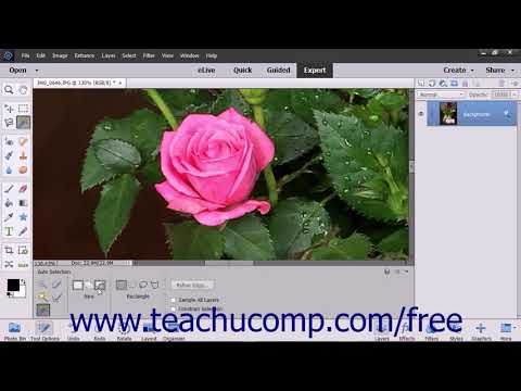 Photoshop Elements 2018 Tutorial The Auto Selection Tool Adobe Training