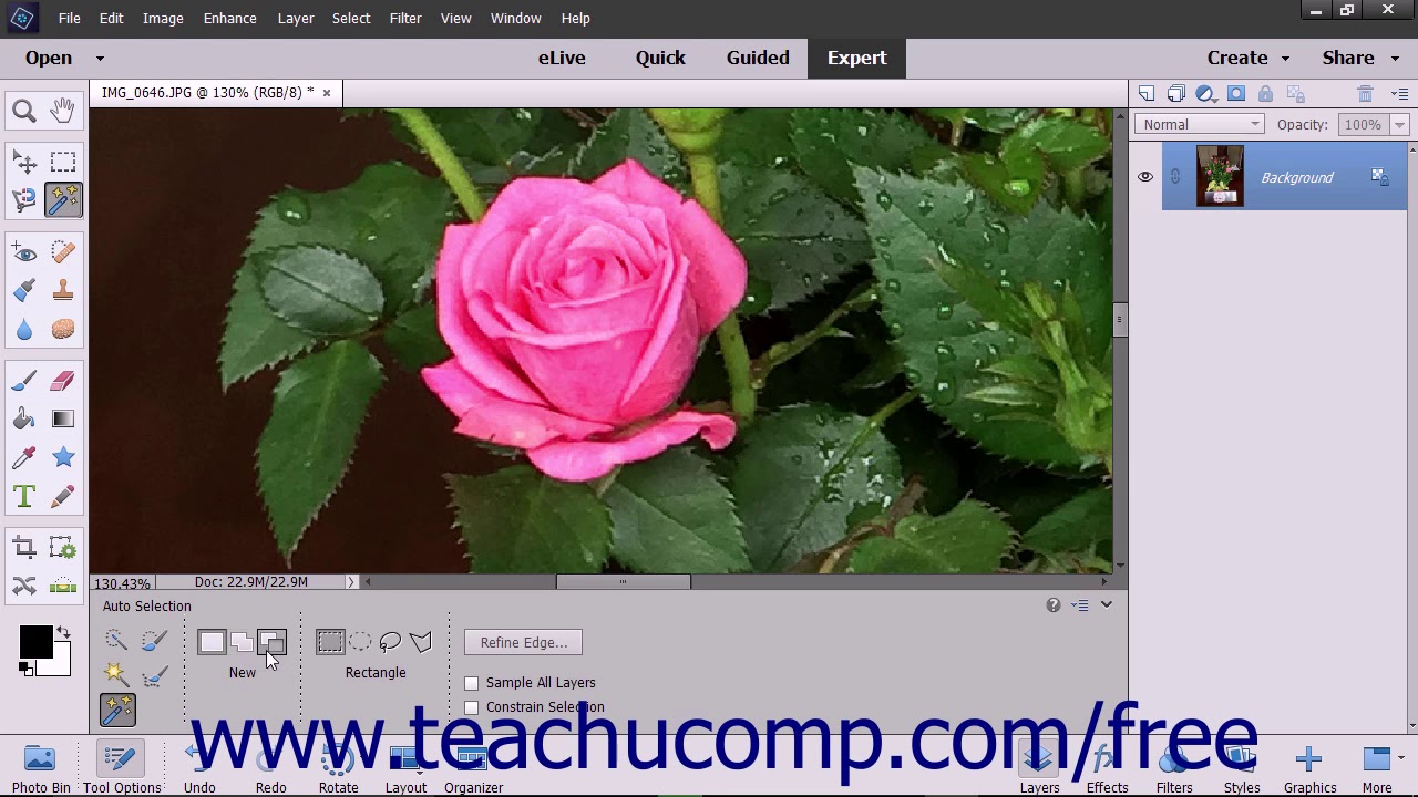 Photoshop Elements 2018 Tutorial The Auto Selection Tool Adobe Training ...