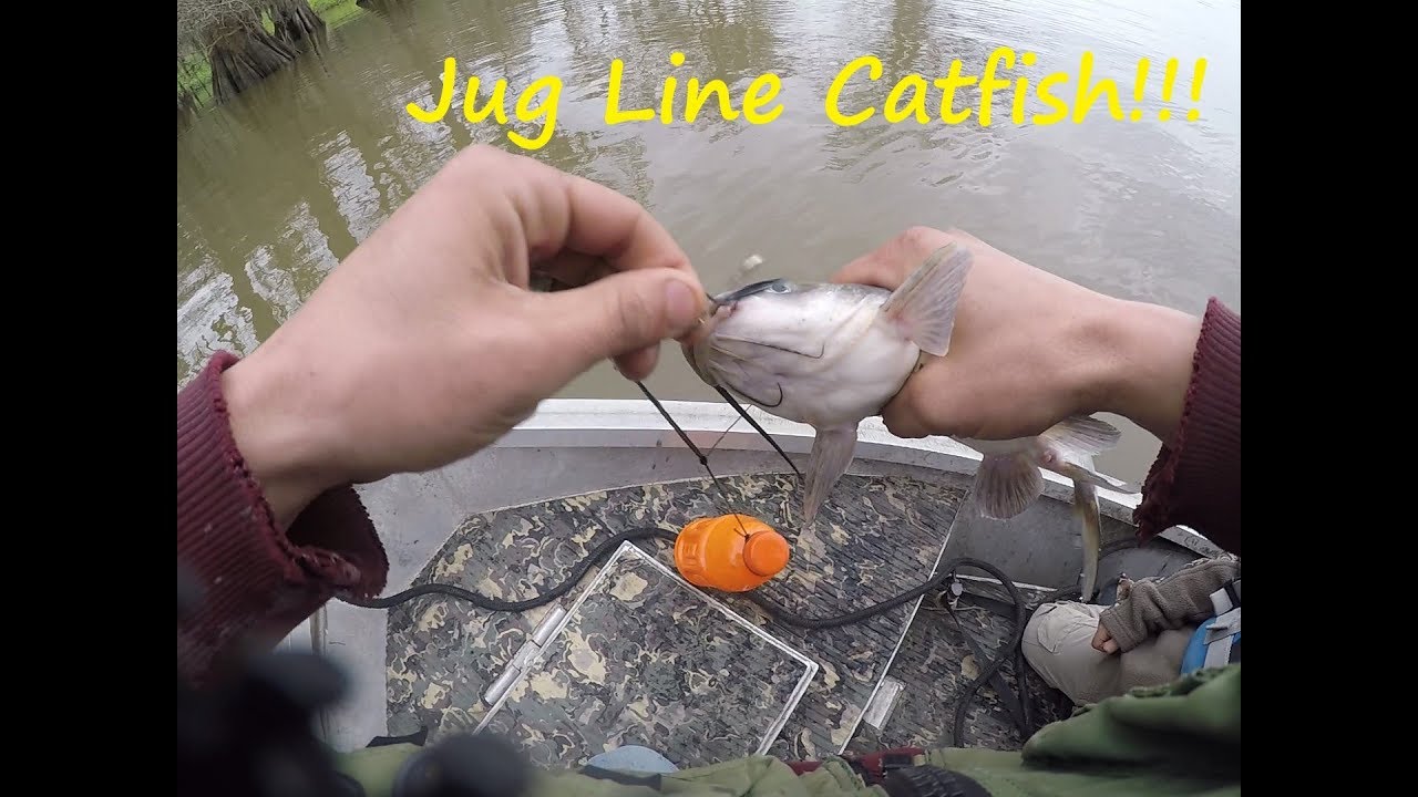 South Louisiana Jug Fishing - Jug Fishing for Catfish - Catfish