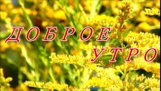 Доброе Утро