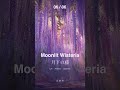Moonlit Wisteria 月下の藤 06 | Mystical Japanese Lofi Ambient #shorts #relaxingmusic #寝落ち音楽 #music