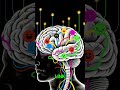 Why We Do What We Do (You are not as in control as you think…) #HumanBehavior #BehavioralPsychology