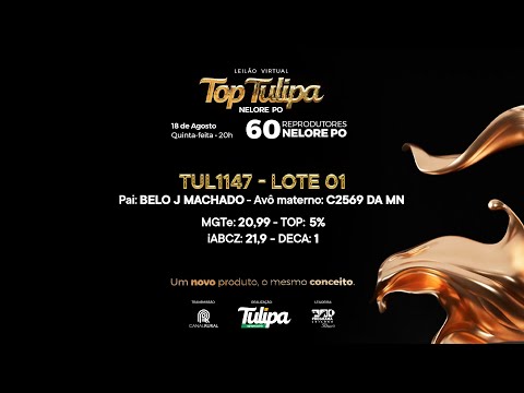 lote 01   TUL 1147