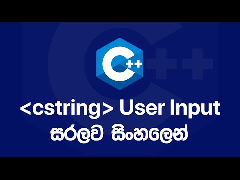 C++ Basics: CStrings - User Input