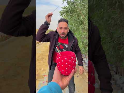 أنت وحظك