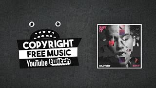 SUNZZ - Say It [Bass Rebels] No Copyright Music Bass House