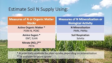 Ears to the Ground Part 1: Soil Nitrogen Tests Overview