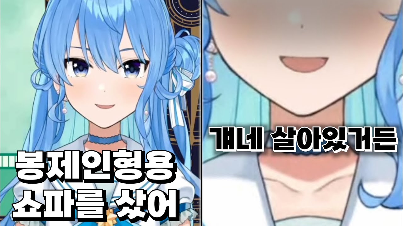 정보) 이 사람은 봉제인형이랑 대화를 한다 [홀로라이브 호시마치 스이세이]