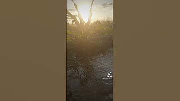 #تلاواتي ما تيسر من سورة #الروم  ||فسبحان الله حين تمسون وحين تصبحون|| #تلاوات