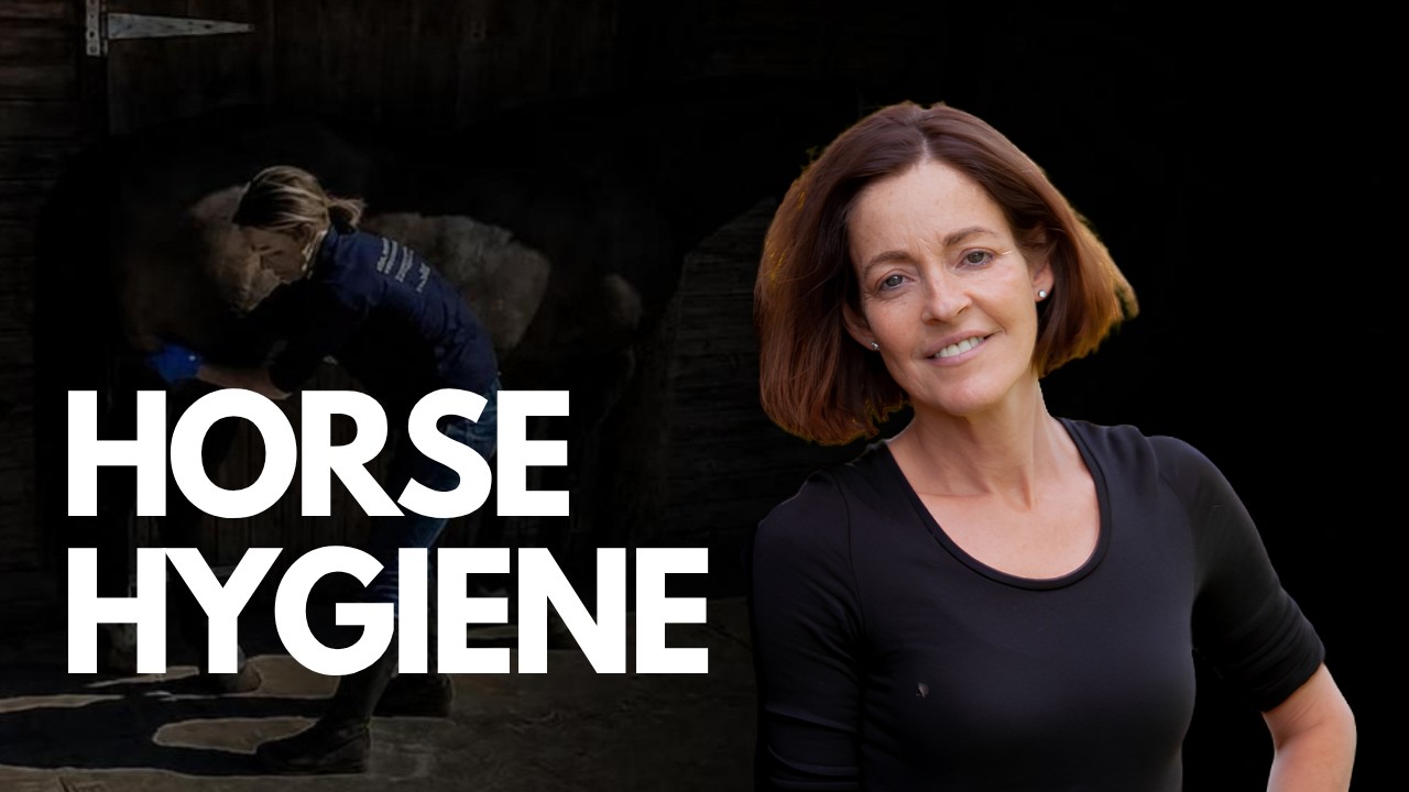 Podcast with Anna Louise of Curious Equestrian: The Uncomfortable Truth About Horse Sheath Cleaning