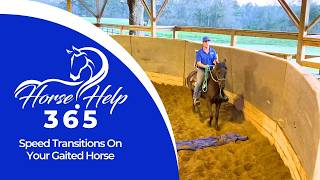 Speed Transitions On Your Gaited Horse | Horse Help - Michael Gascon