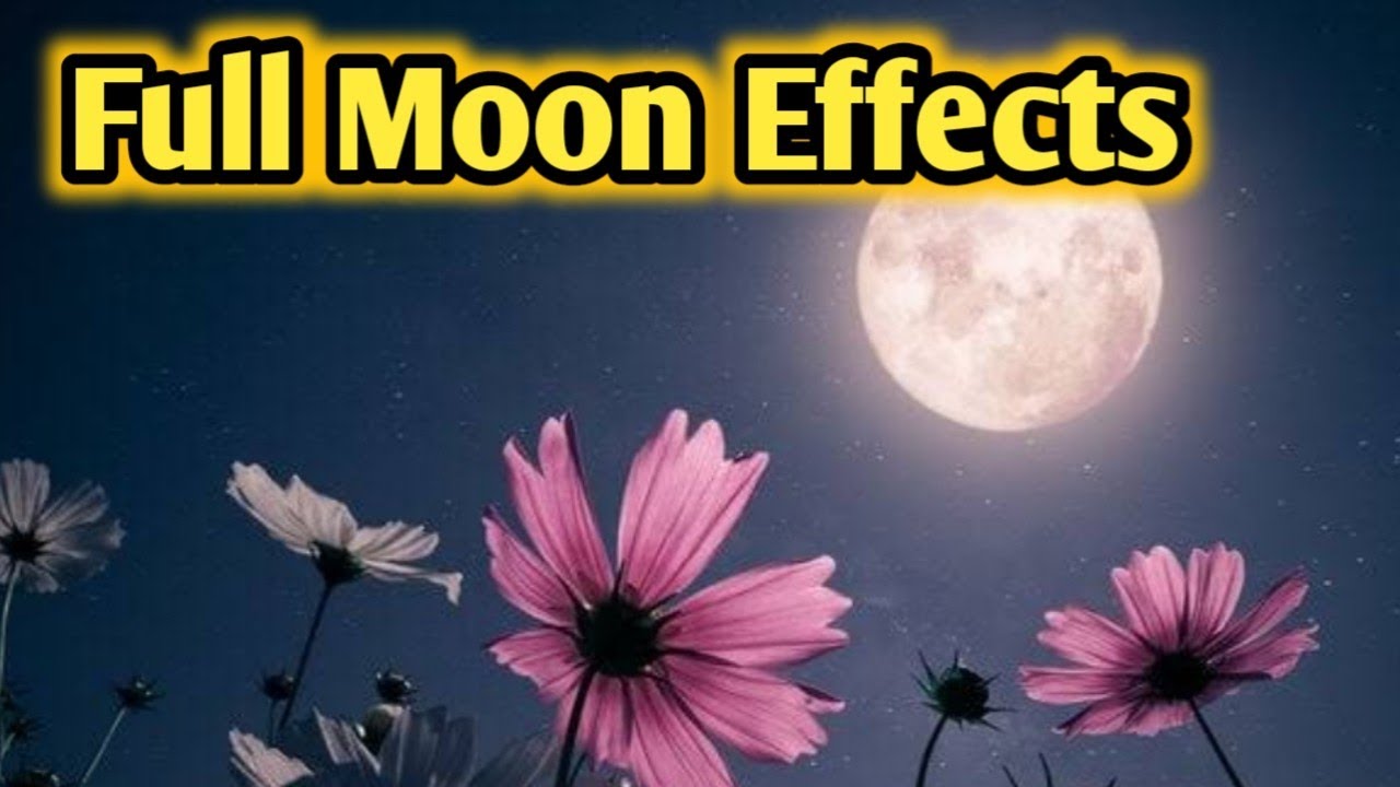 full-moon-effects-on-collectives-current-feelings-next-action-all