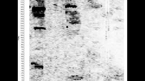 Cemetery Mapping with GPR