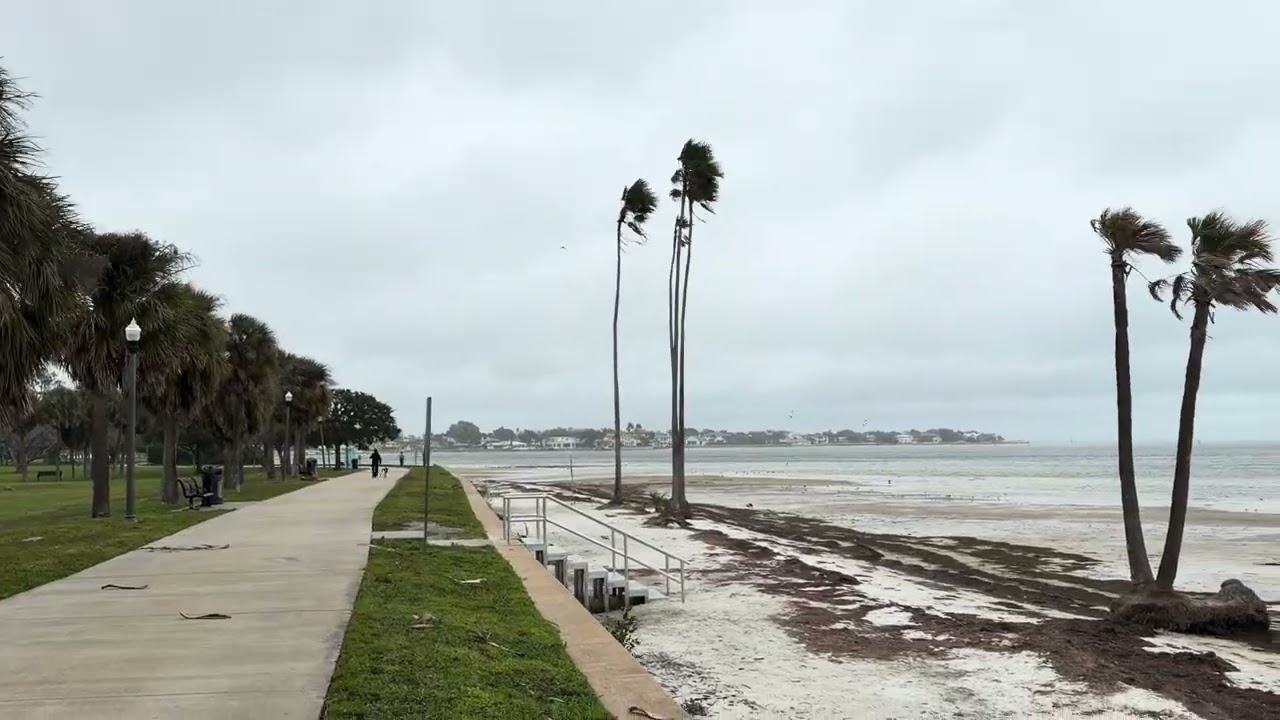 Tropical Storm Force Winds St. Petersburg Tampa Bay Florida Cold Front January 18, 2026 Vinoy Park 