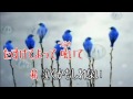 泣くかもしれない♪ 下田逸郎COVER by MARIA