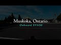 Muskoka, Ontario - Onboard SV650 [4K]