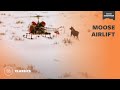 Moose Airlift | Mutual of Omaha&#39;s Wild Kingdom