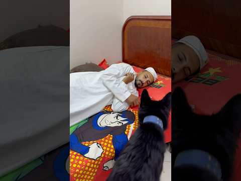 شعبولا هجم علي الحجوج هوا نايم