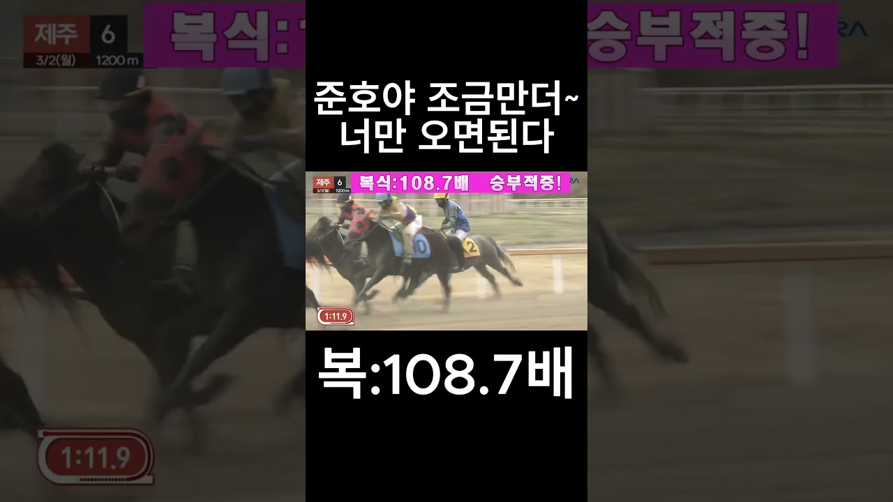 조금더  너만 오면된다  #경마  #경마예상  #경마방송  #경마예상방송  #서울경마  #금요경마  #토요경마  #일요경마 #경마장