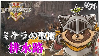 【ELDEN RING】ほぼ初見！騎士道縛りで正々堂々戦うつもりのエルデンリング #54『（未定）』
