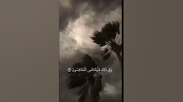 سورة المطففين من ٢٢ إلى ٢٨ ياسر الدوسري