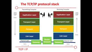 Celebrity Protocol Stack Profile