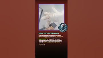 Robot with a Living Brain: China’s Bold Leap in Bio-Integrated AI. #shortsfeed #viralshorts #facts