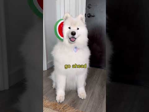 ADORABLE little menace