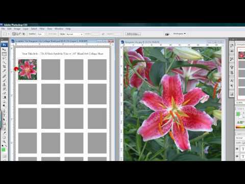 How To Use E-Z Collage Sheet Templates in Photoshop Tutorial