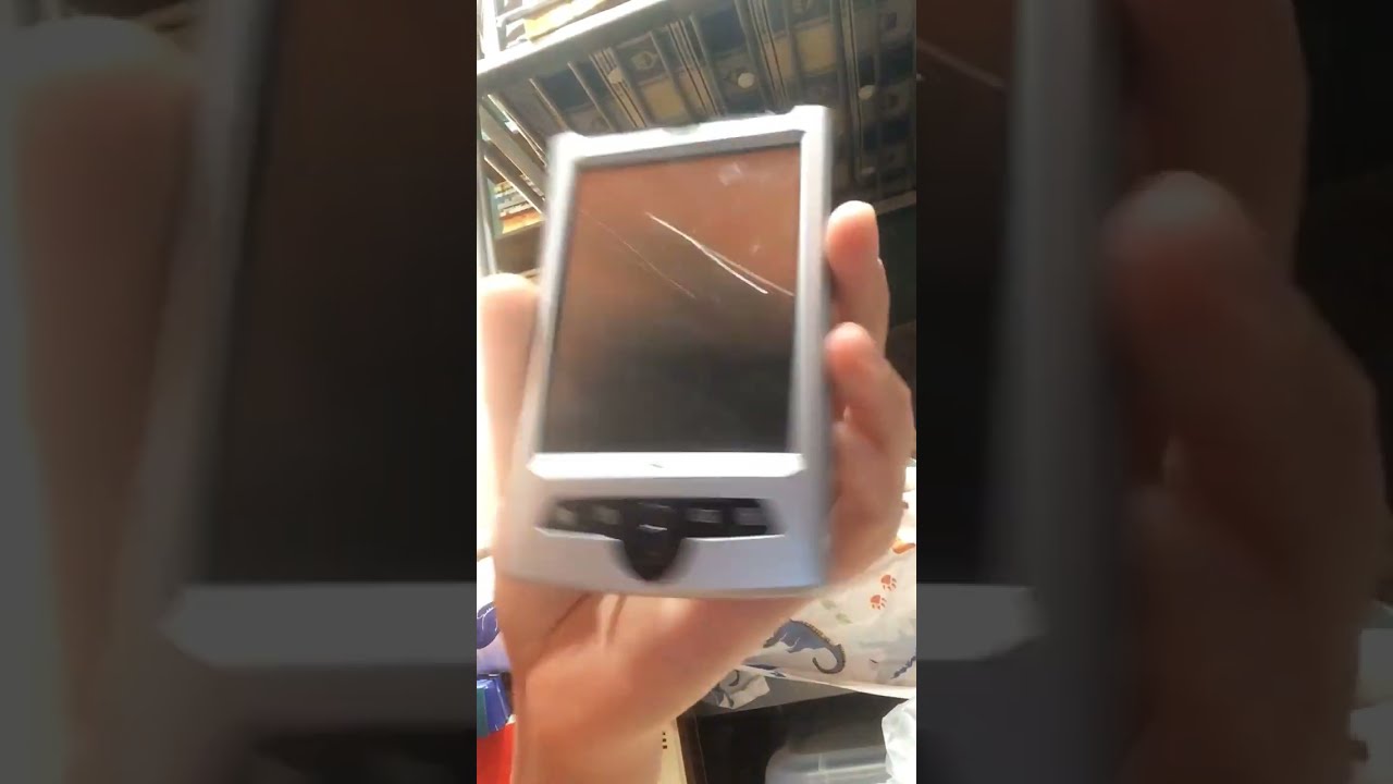  Shorts Pc Hp Smartphone