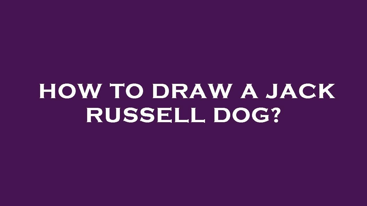 How to draw a jack russell dog? YouTube