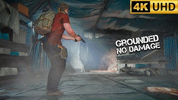 The Last of Us 2 PS5 Remastered Aggressive & Stealth Gameplay - Ground Zero ( GROUNDED/NO DAMAGE )