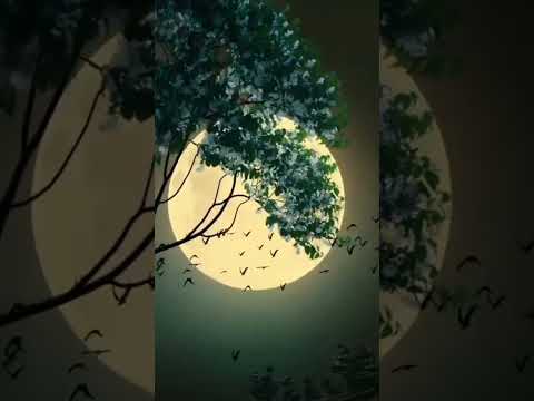 لا تشكو للناس جرحا انت صاحبه لا يؤلم الجرح الا من به الألم