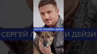 ЗНАМЕНИТОСТИ, КОТОРЫЕ ВЗЯЛИ ЖИВОТНЫХ ИЗ ПРИЮТА