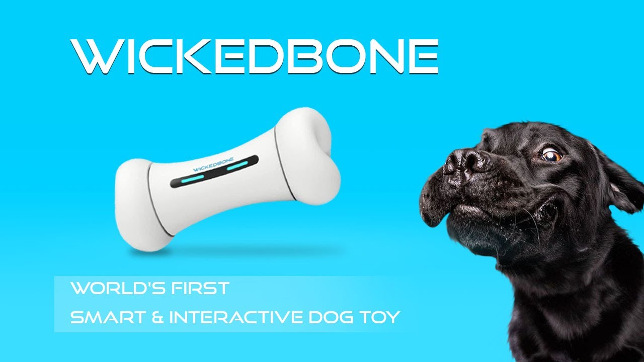 World's First Smart & Interactive Dog Toy - WickedBone 