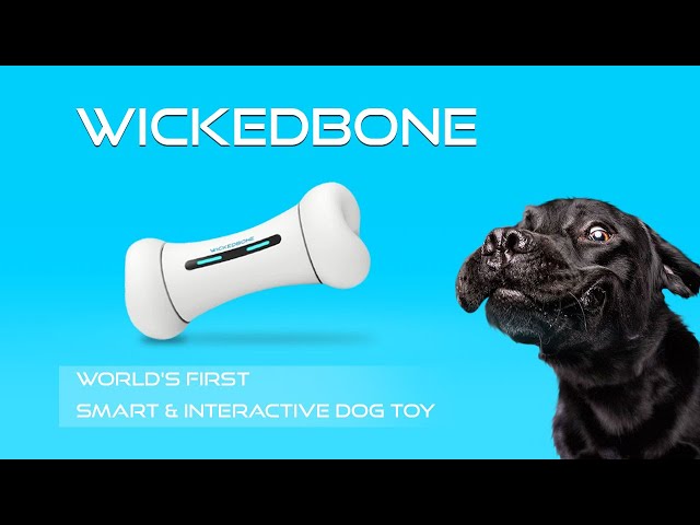 World's First Smart & Interactive Dog Toy - WickedBone 