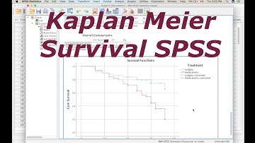 Kaplan Meier Survival Analysis SPSS - Log Rank test